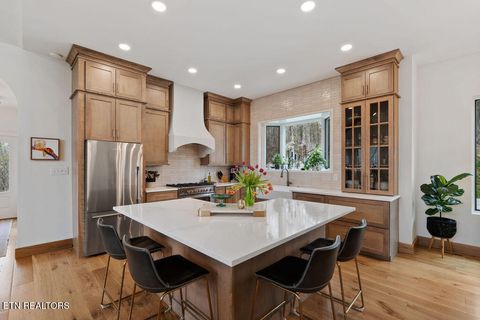 Tiny photo for 2923 Rush Miller Rd, Knoxville, TN 37914 (MLS # 1334729)