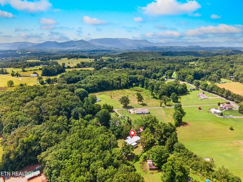 Tiny photo for 1321 Chrisman Rd, Dandridge, TN 37725 (MLS # 1347894)