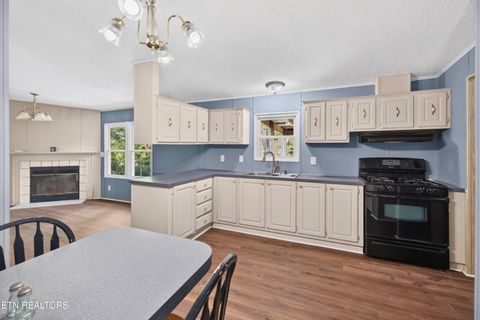 Tiny photo for 1321 Chrisman Rd, Dandridge, TN 37725 (MLS # 1347894)