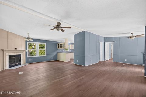 Tiny photo for 1321 Chrisman Rd, Dandridge, TN 37725 (MLS # 1347894)
