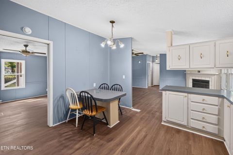 Tiny photo for 1321 Chrisman Rd, Dandridge, TN 37725 (MLS # 1347894)