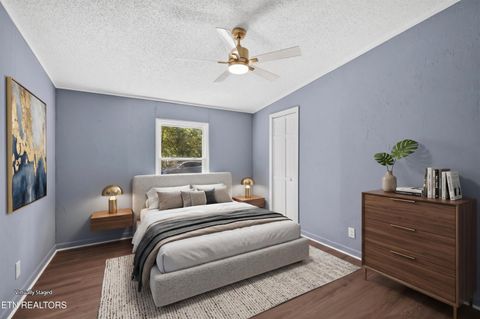 Tiny photo for 1321 Chrisman Rd, Dandridge, TN 37725 (MLS # 1347894)