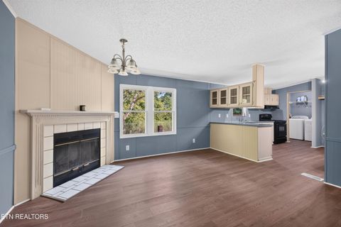 Tiny photo for 1321 Chrisman Rd, Dandridge, TN 37725 (MLS # 1347894)