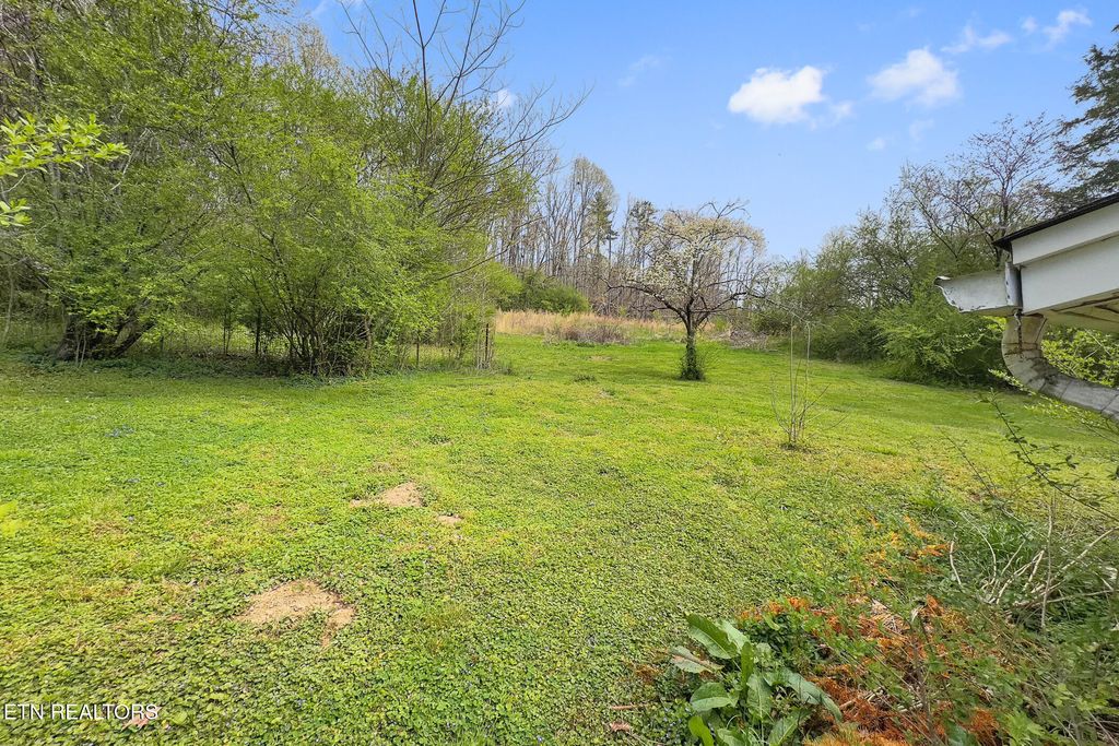 Photo of 1447 Webster Rd, Harriman, TN 37748 (MLS # 1335278)