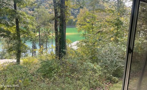 Tiny photo for 960 Indian River Boat Dock Rd Rd, Jacksboro, TN 37757 (MLS # 1318419)