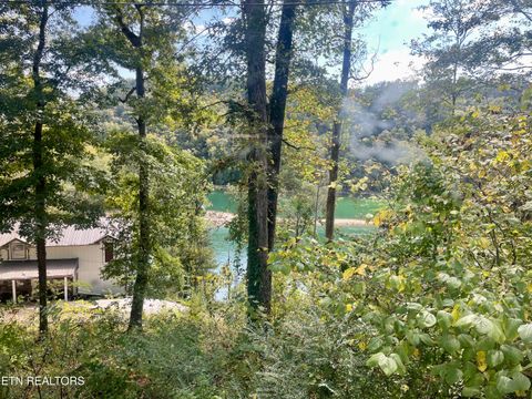 Tiny photo for 960 Indian River Boat Dock Rd Rd, Jacksboro, TN 37757 (MLS # 1318419)