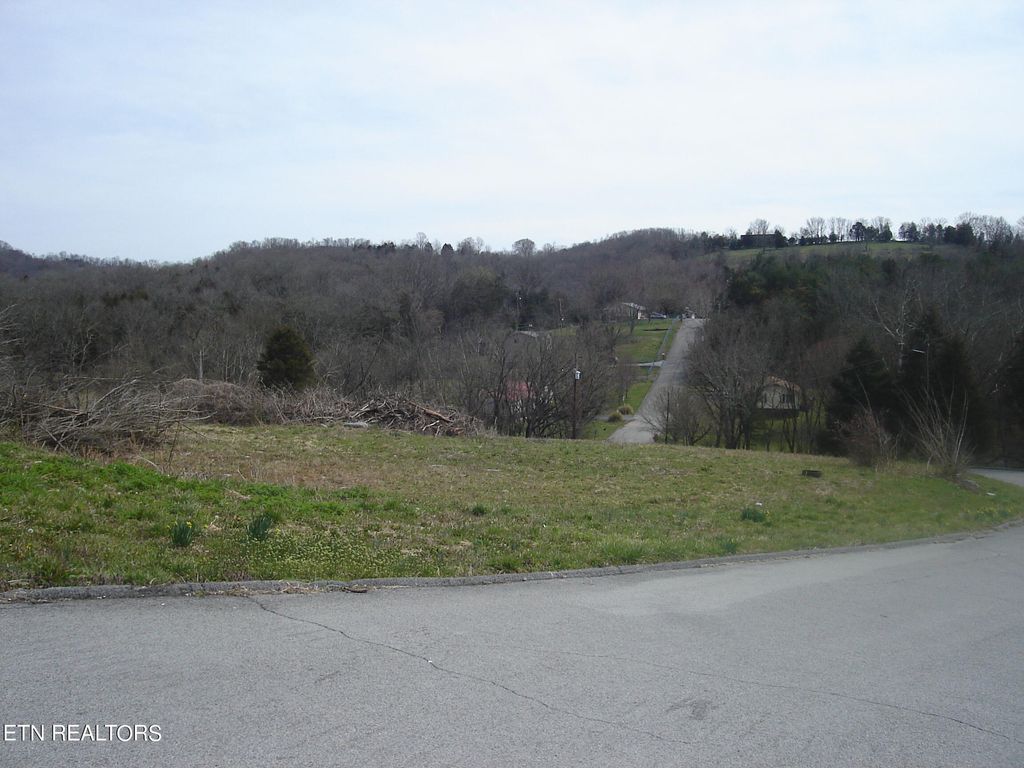 Photo of 78 Cedar Fork Rd, Tazewell, TN 37879 (MLS # 1264951)
