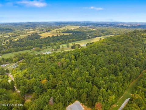 Tiny photo for 740 County Road 319, Niota, TN 37826 (MLS # 1355845)