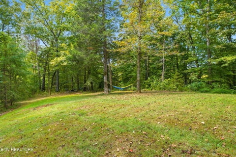 Tiny photo for 740 County Road 319, Niota, TN 37826 (MLS # 1355845)