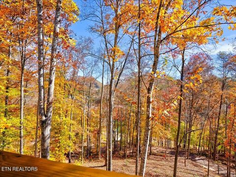 Tiny photo for 164 Paradise Point, New Tazewell, TN 37825 (MLS # 1325526)