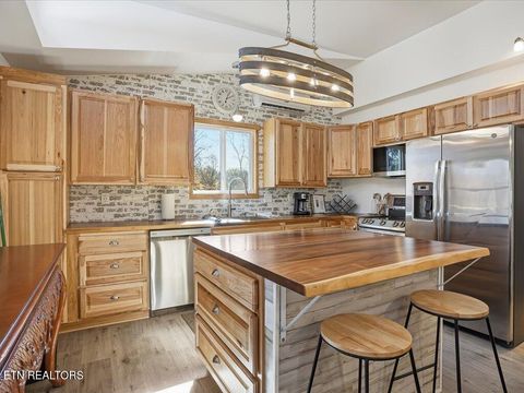 Tiny photo for 164 Paradise Point, New Tazewell, TN 37825 (MLS # 1325526)