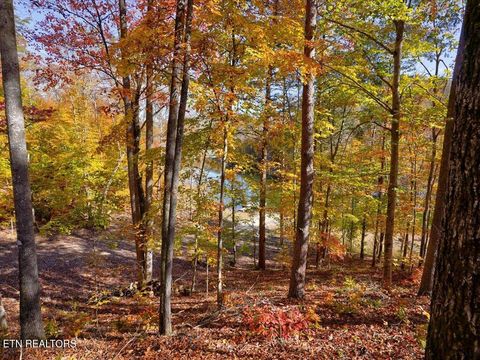 Tiny photo for 164 Paradise Point, New Tazewell, TN 37825 (MLS # 1325526)