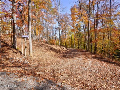Tiny photo for 164 Paradise Point, New Tazewell, TN 37825 (MLS # 1325526)