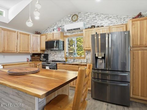 Tiny photo for 164 Paradise Point, New Tazewell, TN 37825 (MLS # 1325526)