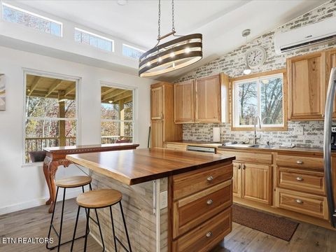 Tiny photo for 164 Paradise Point, New Tazewell, TN 37825 (MLS # 1325526)