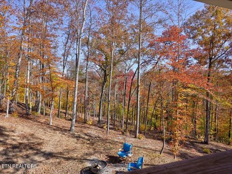 Tiny photo for 164 Paradise Point, New Tazewell, TN 37825 (MLS # 1325526)