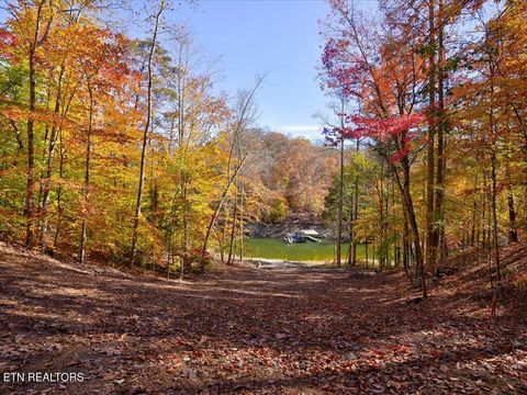 Tiny photo for 164 Paradise Point, New Tazewell, TN 37825 (MLS # 1325526)