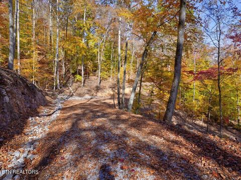 Tiny photo for 164 Paradise Point, New Tazewell, TN 37825 (MLS # 1325526)