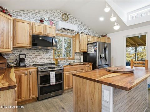 Tiny photo for 164 Paradise Point, New Tazewell, TN 37825 (MLS # 1325526)