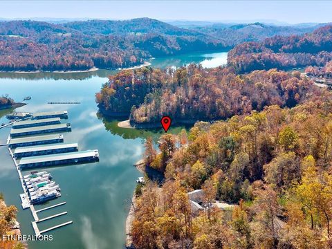 Tiny photo for 164 Paradise Point, New Tazewell, TN 37825 (MLS # 1325526)