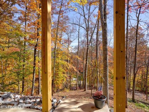 Tiny photo for 164 Paradise Point, New Tazewell, TN 37825 (MLS # 1325526)