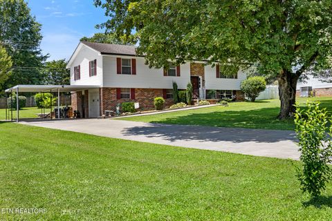 115 County Road 142 Riceville TN 37370