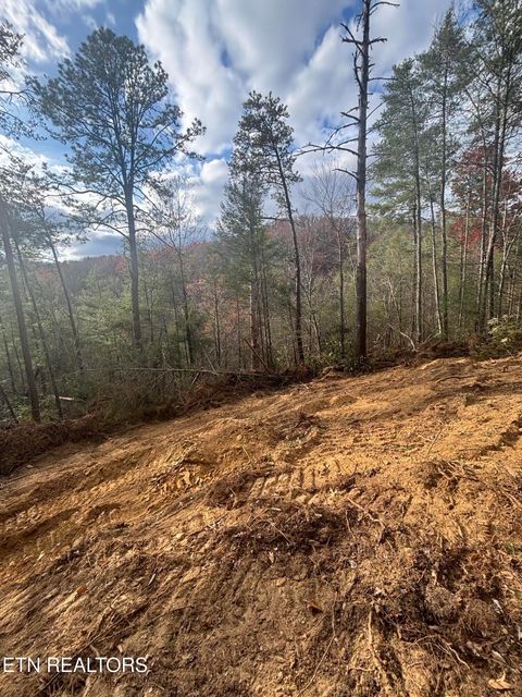 Tiny photo for 4354 Ball Hollow Rd, Cosby, TN 37722 (MLS # 1336307)