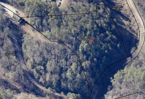 Tiny photo for 4354 Ball Hollow Rd, Cosby, TN 37722 (MLS # 1336307)