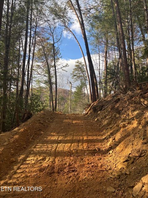 Tiny photo for 4354 Ball Hollow Rd, Cosby, TN 37722 (MLS # 1336307)