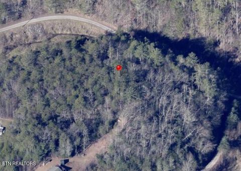 Tiny photo for 4354 Ball Hollow Rd, Cosby, TN 37722 (MLS # 1336307)