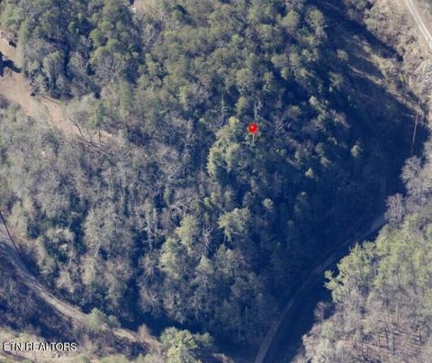 Tiny photo for 4354 Ball Hollow Rd, Cosby, TN 37722 (MLS # 1336307)