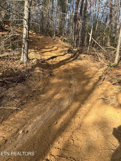 Tiny photo for 4354 Ball Hollow Rd, Cosby, TN 37722 (MLS # 1336307)