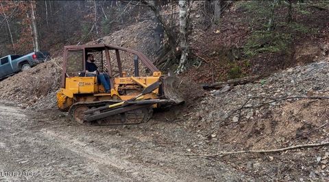 Tiny photo for 4354 Ball Hollow Rd, Cosby, TN 37722 (MLS # 1336307)