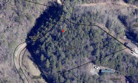 Tiny photo for 4354 Ball Hollow Rd, Cosby, TN 37722 (MLS # 1336307)