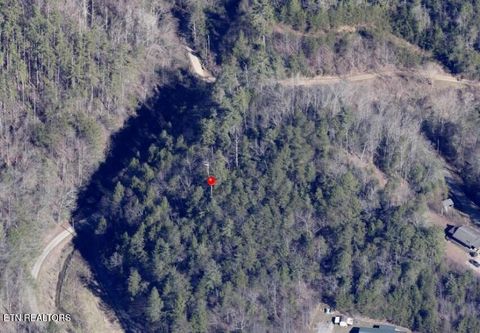 Tiny photo for 4354 Ball Hollow Rd, Cosby, TN 37722 (MLS # 1336307)