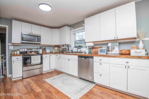 Tiny photo for 102 Hickory Lane, Sweetwater, TN 37874 (MLS # 1324628)