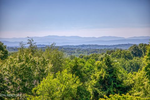 Tiny photo for 11017 Calloway View Drive, Knoxville, TN 37934 (MLS # 1339707)