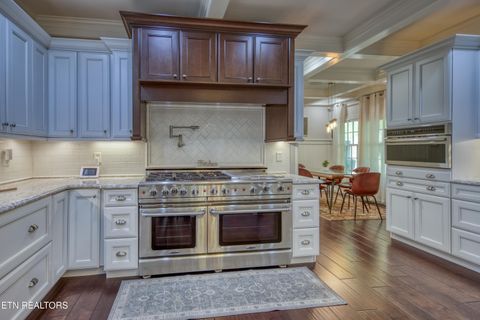 Tiny photo for 11017 Calloway View Drive, Knoxville, TN 37934 (MLS # 1339707)