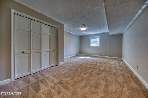 Tiny photo for 11017 Calloway View Drive, Knoxville, TN 37934 (MLS # 1339707)