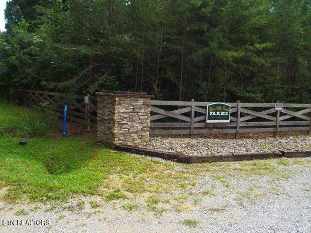 Photo of 63 Four Mile Creek Rd, Deer Lodge, TN 37726 (MLS # 1294487)