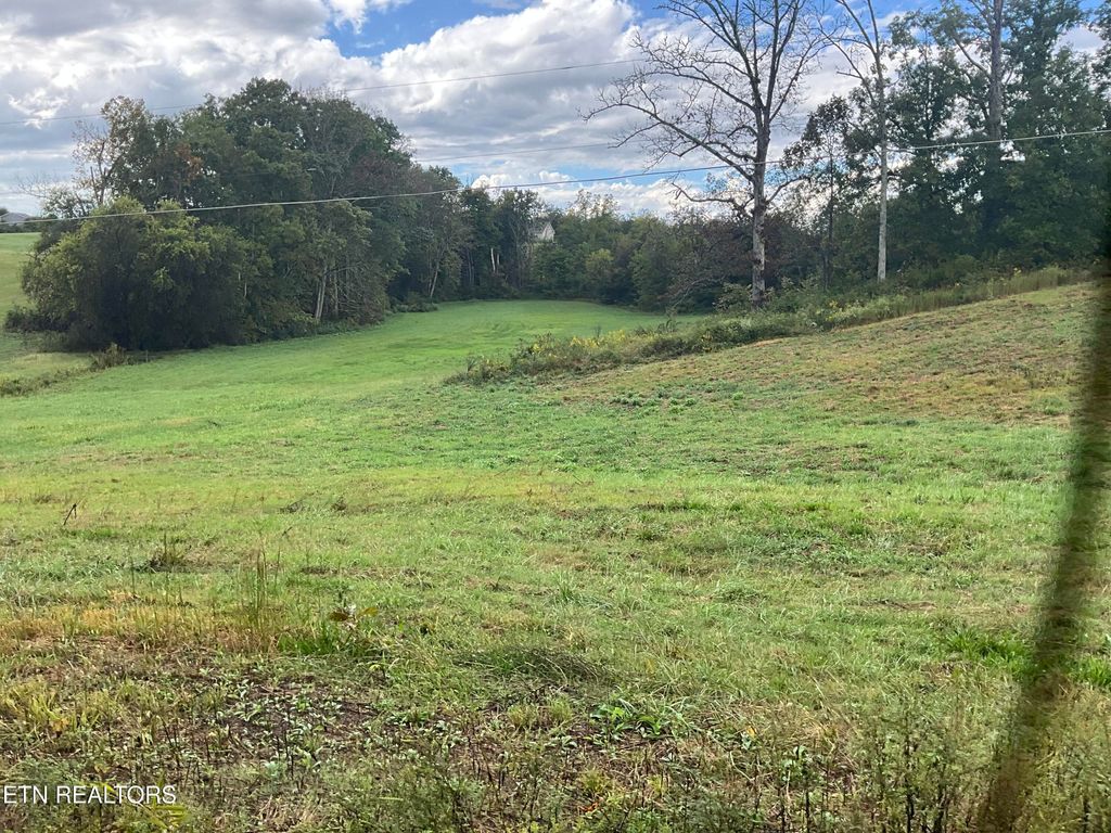 Photo of 0 Bud Hawkins Rd, Corryton, TN 37721 (MLS # 1316526)