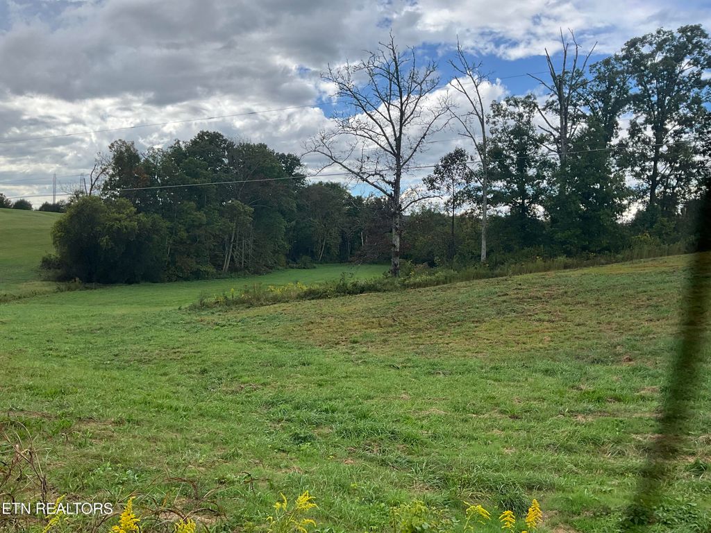 Photo of 0 Bud Hawkins Rd, Corryton, TN 37721 (MLS # 1316526)