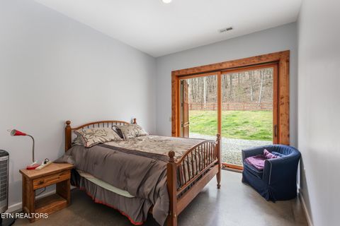 Tiny photo for 2476 Guinn Narrows Rd, Decatur, TN 37322 (MLS # 1295437)