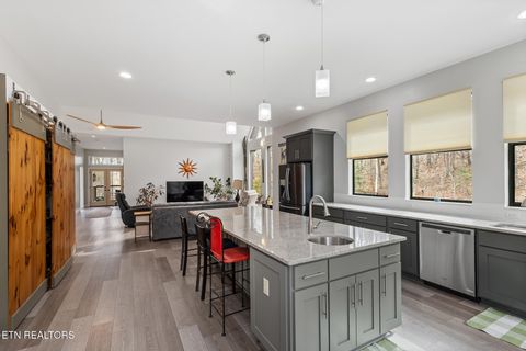 Tiny photo for 2476 Guinn Narrows Rd, Decatur, TN 37322 (MLS # 1295437)