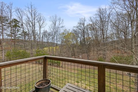 Tiny photo for 2476 Guinn Narrows Rd, Decatur, TN 37322 (MLS # 1295437)