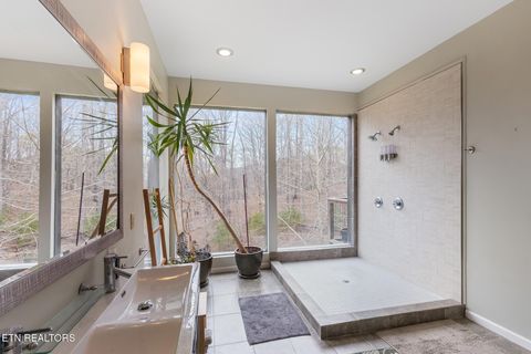 Tiny photo for 2476 Guinn Narrows Rd, Decatur, TN 37322 (MLS # 1295437)