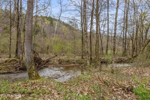 Tiny photo for 2476 Guinn Narrows Rd, Decatur, TN 37322 (MLS # 1295437)
