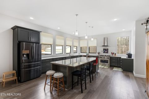 Tiny photo for 2476 Guinn Narrows Rd, Decatur, TN 37322 (MLS # 1295437)