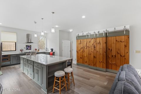 Tiny photo for 2476 Guinn Narrows Rd, Decatur, TN 37322 (MLS # 1295437)