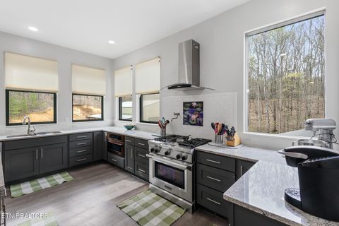 Tiny photo for 2476 Guinn Narrows Rd, Decatur, TN 37322 (MLS # 1295437)